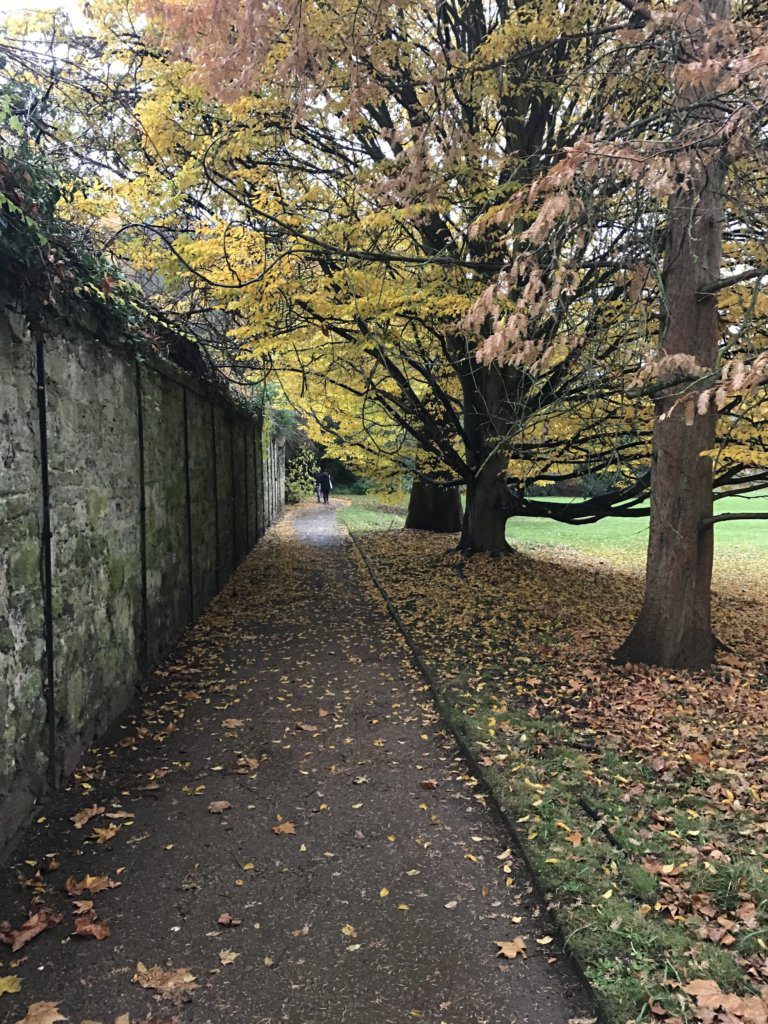 How to spend a rainy day in Oxford, England