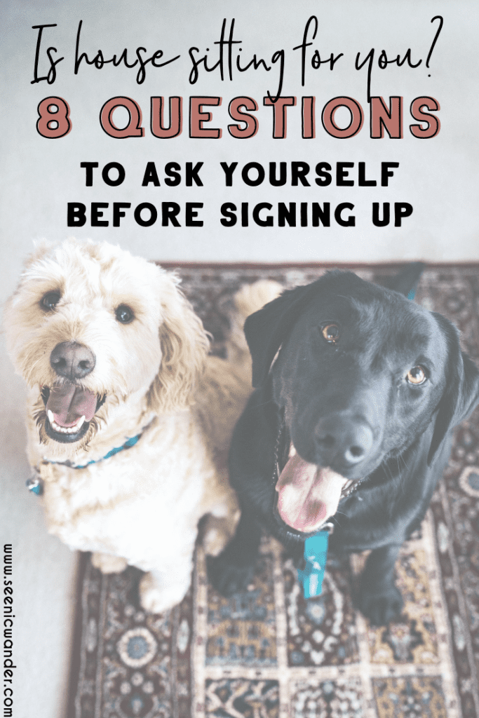 Is house sitting for me? Questions to ask before becoming a house sitter