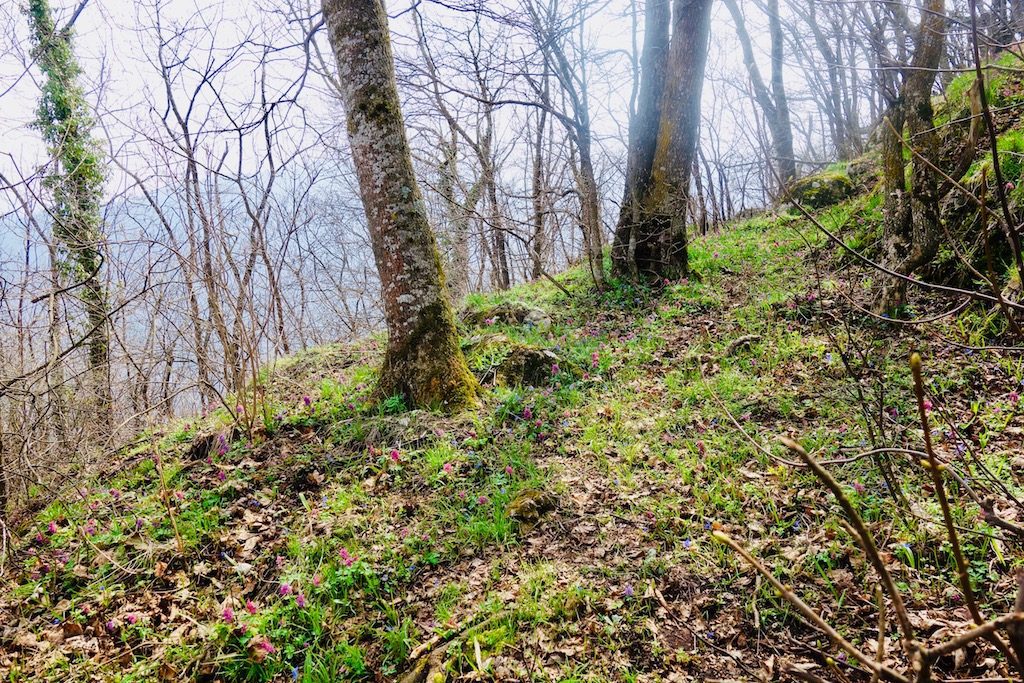 Hiking Tampa Mountain for the Best View in Brasov