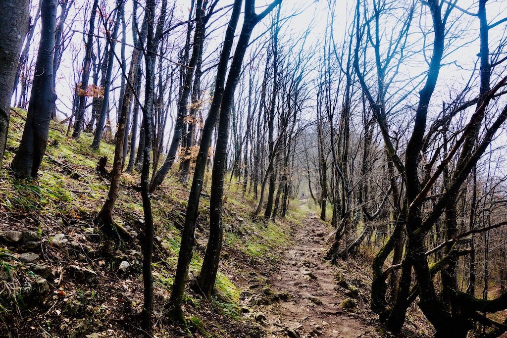 Hiking Tampa Mountain for the Best View in Brasov