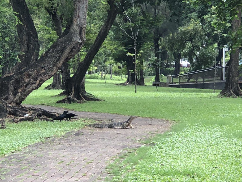 City guide to Bangkok