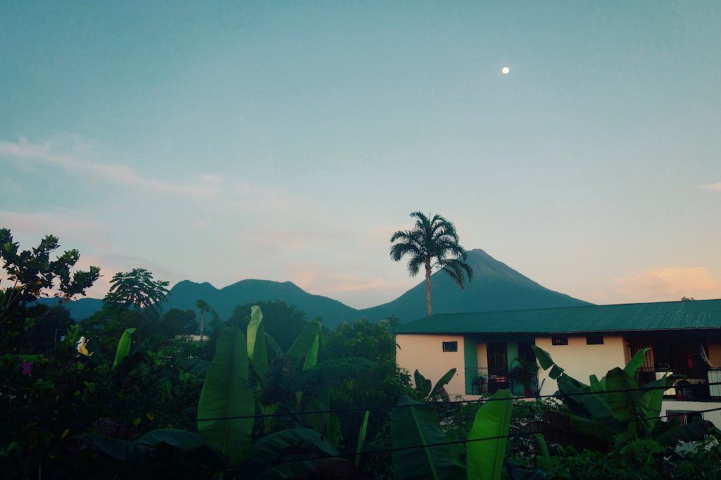 House sitting vs. Airbnb