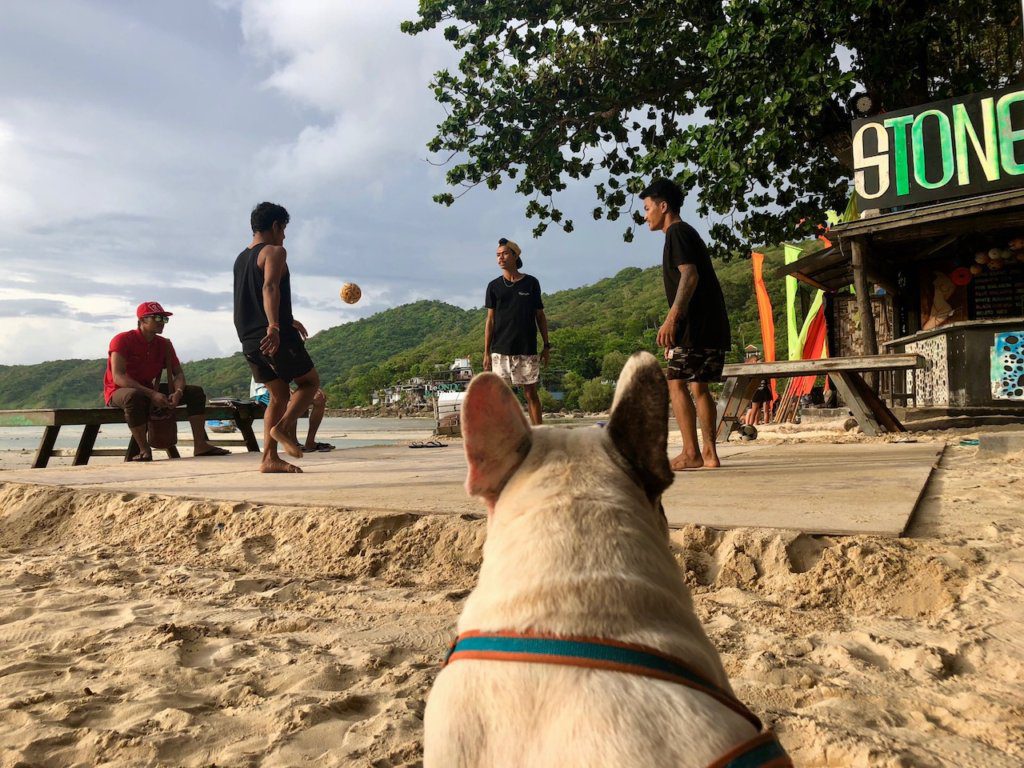 koh phi phi things to do 