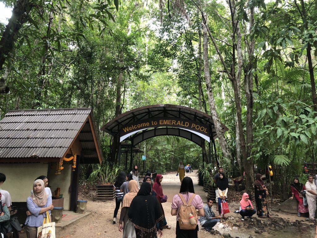 emerald pool and hot springs krabi tour