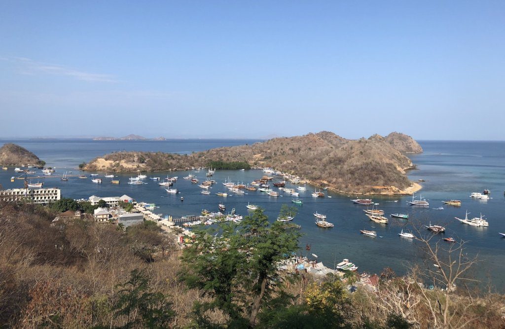 Finding Dragons: Exploring Komodo National Park with Flores XP Tours, the best komodo island boat tour