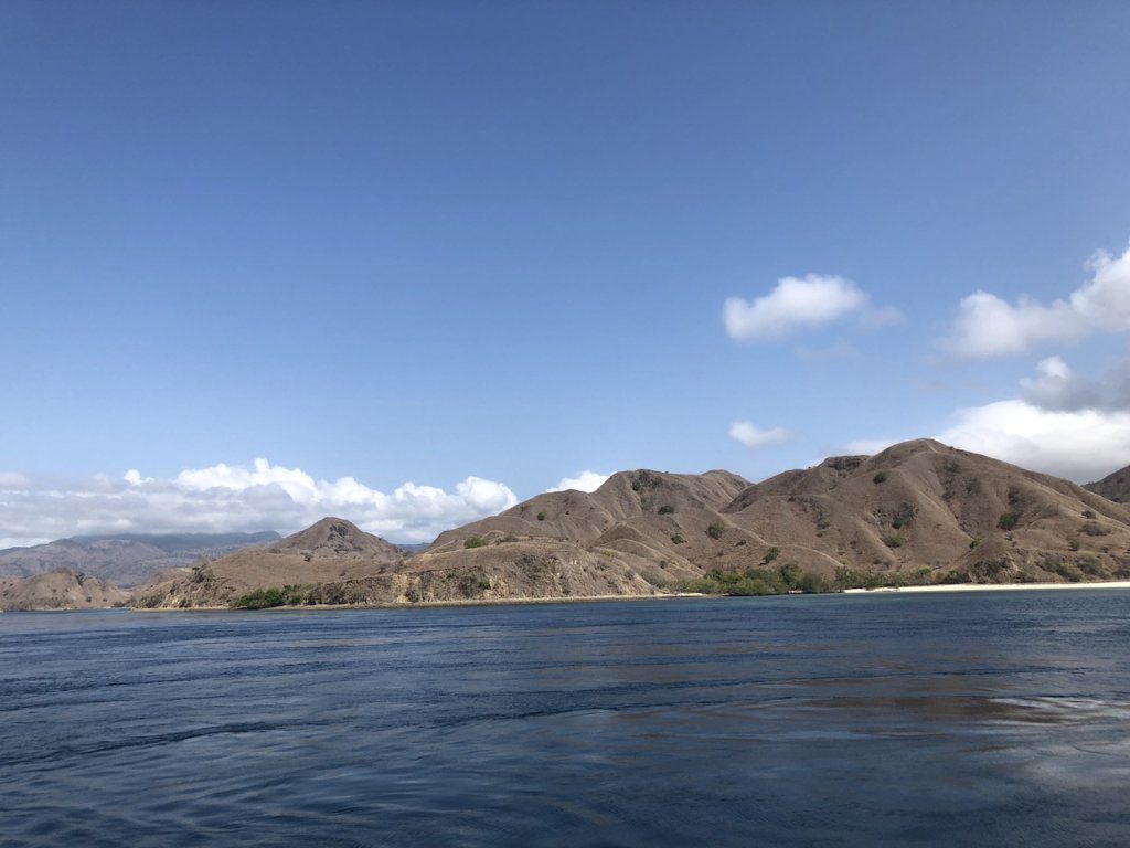 The best komodo island tours from labuan bajo