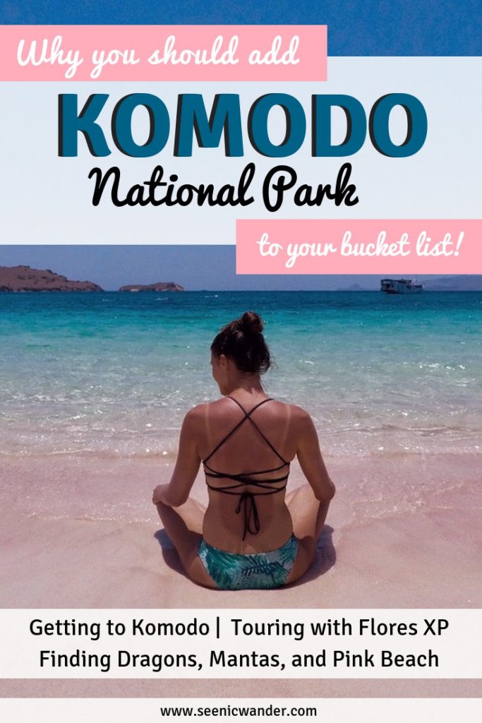 Finding Dragons in Komodo National Park! The Best Komodo Island Tour with Flores XP Tours