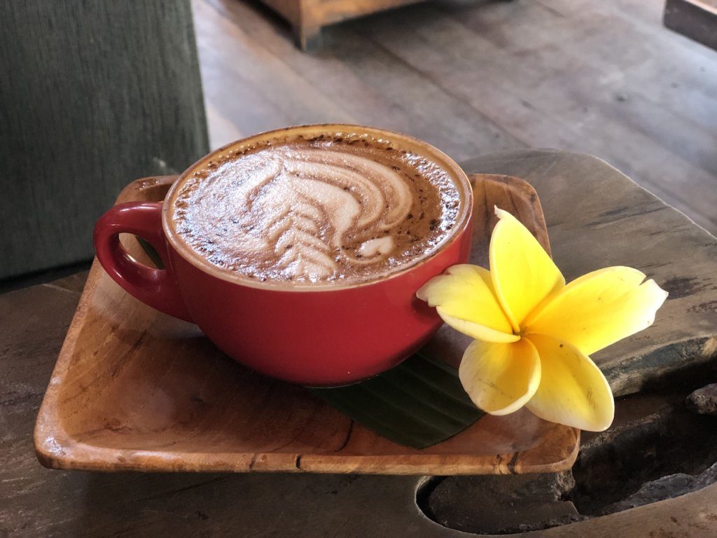 Where to eat in Canggu Bali | Best Canggu Restaurants