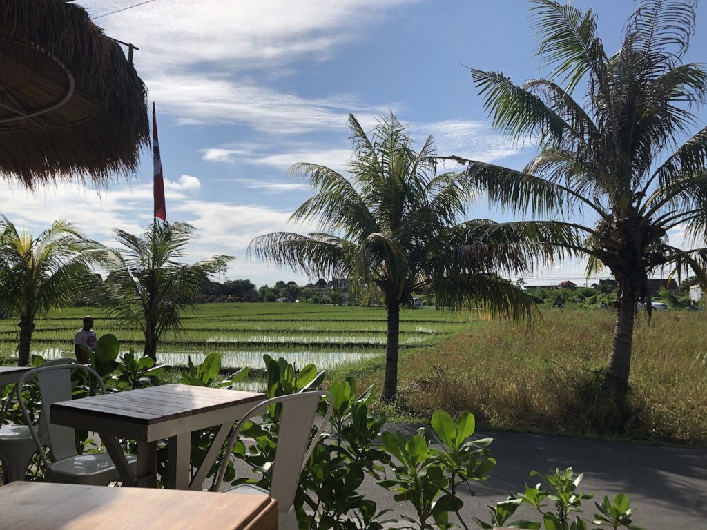View from I am Vegan Babe Cafe Canggu