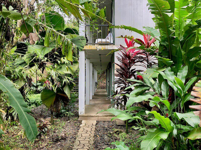 Views like these make Selina red frog one of the best hostels in Bocas Del Toro