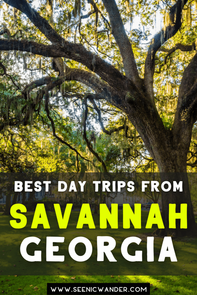 Oak tree in the sunlight with text overlay that reads "Best Day Trips From Savannah, Georgia"