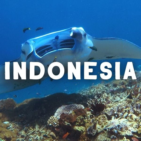 indonesia travel guides destinations indonesia travel guides