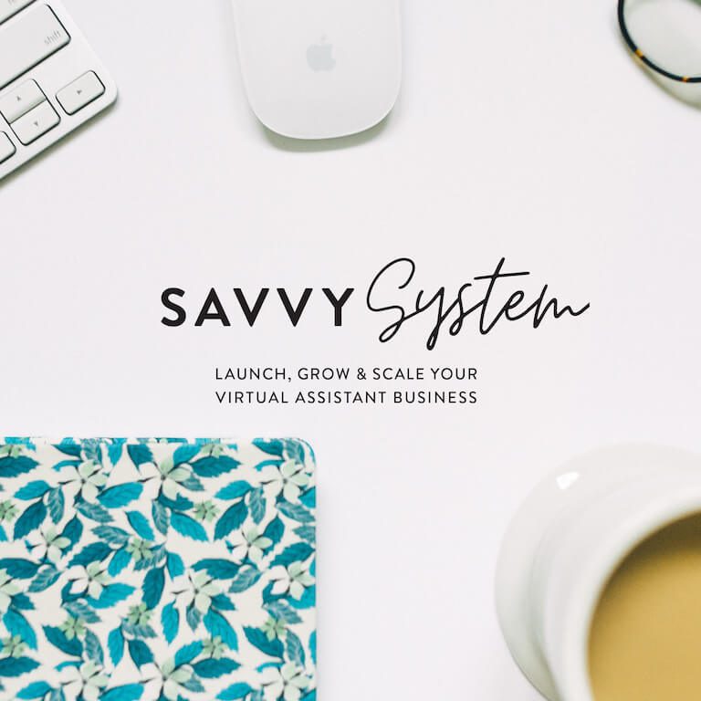 The Savvy System Virtual Assistant Training Course