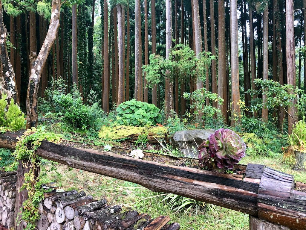 Grena Parque in Furnas, Azores