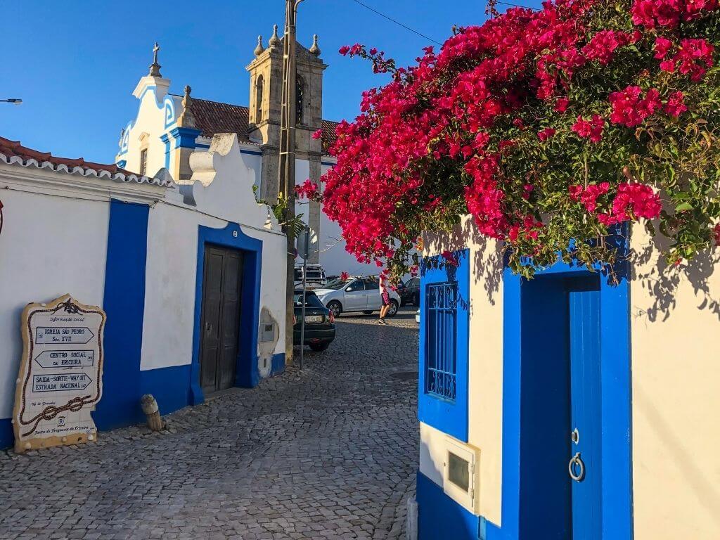 Pink flowers against white and blue walls in Ericeira