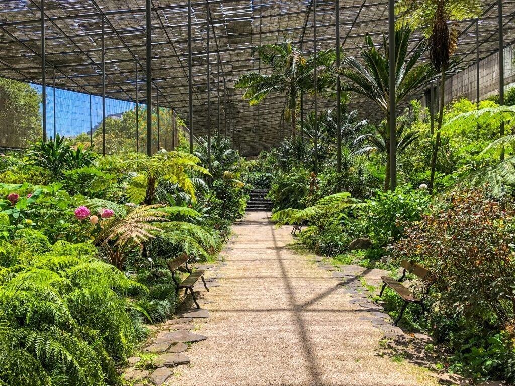 Interior view of plants at Estufa Fria