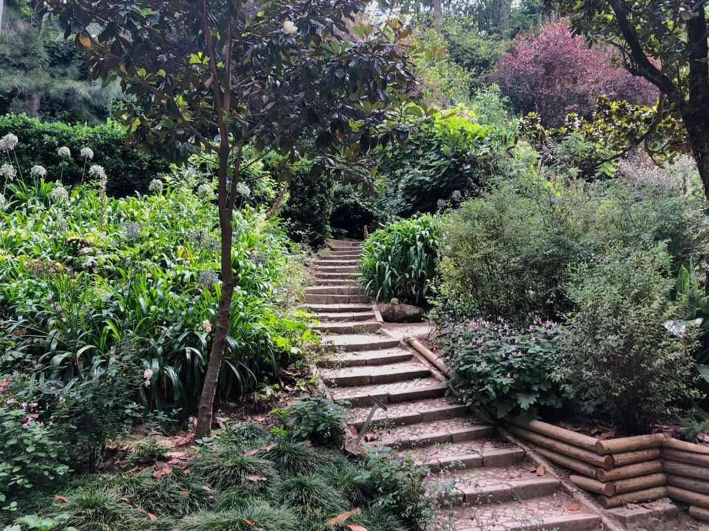 A staircase surrounded by plants at Parque da Liberdade in Sintra