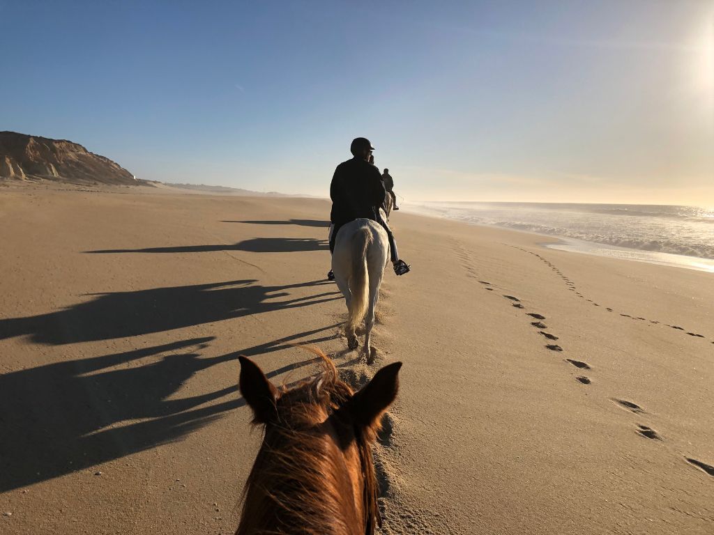 Horseback riding on the beach in Sines